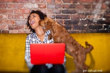 Boost Your Well‑Being: Self‑Care Tips with Your Cat or Dog