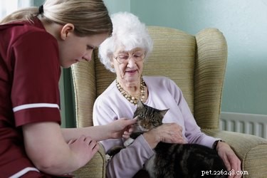 Boost Your Well‑Being: Self‑Care Tips with Your Cat or Dog
