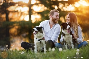 Boost Your Well‑Being: Self‑Care Tips with Your Cat or Dog