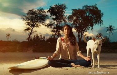Boost Your Well‑Being: Self‑Care Tips with Your Cat or Dog