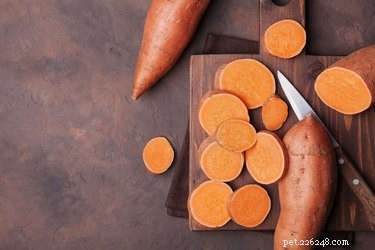 5 Thanksgiving Treats Your Dog Can Enjoy Safely