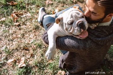 Do You Need to Feel Guilty When Leaving Your Dog with a Sitter?