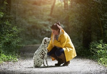 How Your Emotions and Actions Shape Your Dog’s Well‑Being