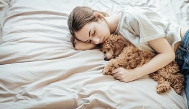 Do Dogs Love Humans More Than Cats? Uncovering the Science of Pet Affection