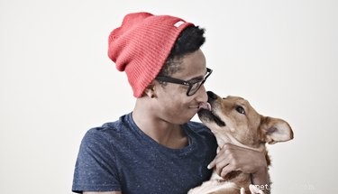 Do Dogs Love Humans More Than Cats? Uncovering the Science of Pet Affection