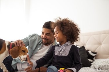 Unveiling a Dog s Perspective: How They View Us