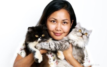 Do Dogs and Cats Detect Human Gender? Uncovering the Science Behind Pet Perception