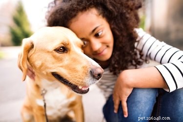 Do Dogs and Cats Detect Human Gender? Uncovering the Science Behind Pet Perception