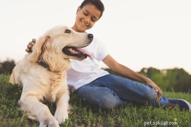 Do Dogs and Cats Detect Human Gender? Uncovering the Science Behind Pet Perception