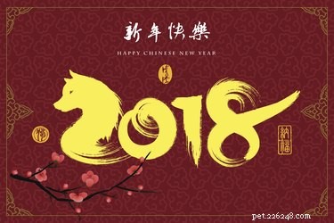 Everything You Need to Know About the Year of the Dog (2018)