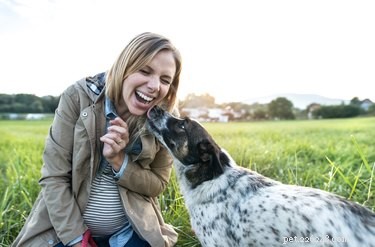 Can Dogs Detect Pregnancy? Exploring How Furry Friends Sense Hormonal Changes