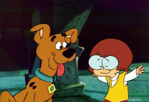 Do Dogs Really Sense Our Love? Discover the Truth