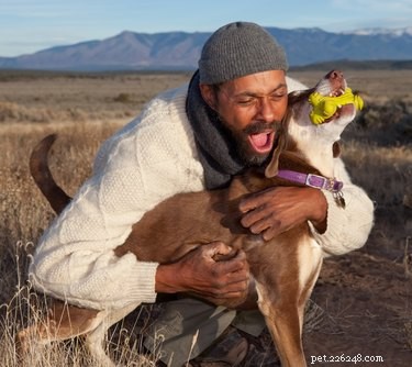 Do Dogs Really Sense Our Love? Discover the Truth