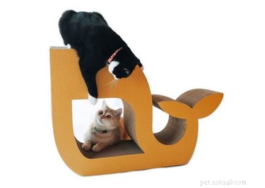 10 Sustainable Gift Ideas to Pamper Your Pet and Protect the Planet