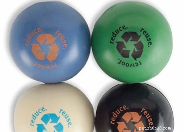 10 Sustainable Gift Ideas to Pamper Your Pet and Protect the Planet