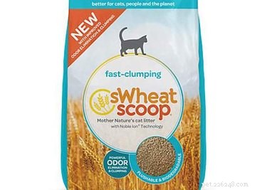 10 Sustainable Gift Ideas to Pamper Your Pet and Protect the Planet