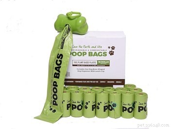 10 Sustainable Gift Ideas to Pamper Your Pet and Protect the Planet