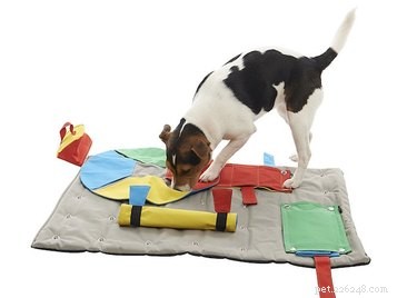 11 Brain‑Boosting Gifts to Keep Your Dog Smart and Happy