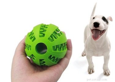 11 Brain‑Boosting Gifts to Keep Your Dog Smart and Happy