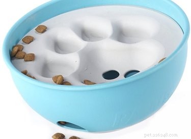 11 Brain‑Boosting Gifts to Keep Your Dog Smart and Happy