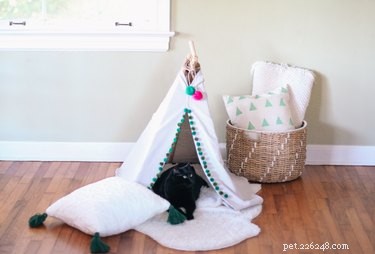 Build a No‑Sew Pet Tent Under $20: Quick, Easy, and Affordable