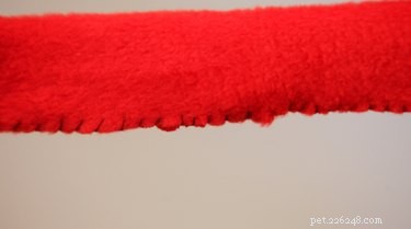 DIY Christmas Dog Collar: Step‑by‑Step Guide to a Festive Look
