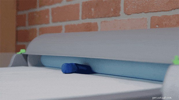 Meet the BrilliantPad: The Self‑Cleaning Indoor Potty Pad That Simplifies Dog Care