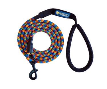 Essential Guide to Buying Dog Supplies: Find the Best Gear for Your Furry Friend