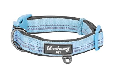 Essential Guide to Buying Dog Supplies: Find the Best Gear for Your Furry Friend