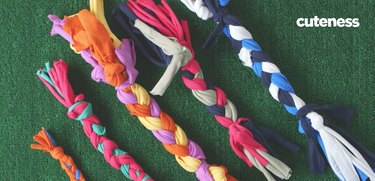 DIY Dog Projects: Craft Homemade Gifts That Spoil Your Pup