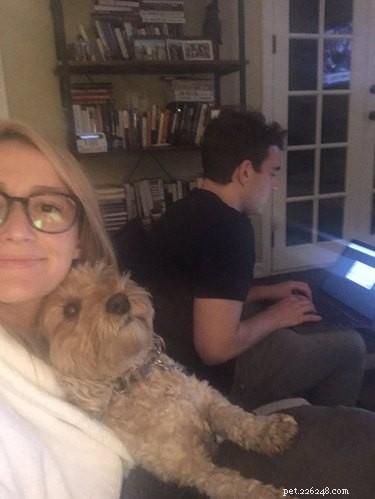 Gossip Girl Star Reunites with Lost Dog Thanks to a Social Media Miracle