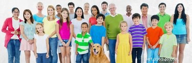 Do Dogs Exhibit Racial Bias? Separating Myth from Reality