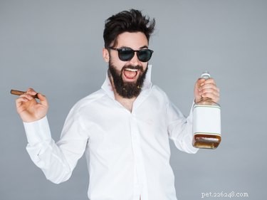Does Your Dog Detect Alcohol? How They Sense When You re Intoxicated
