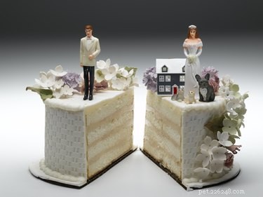 Who Keeps the Dog in a Divorce? A Guide to Pet Custody Rights