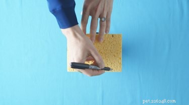 Create a Portable Dog Paw Washer: Quick & Easy DIY Guide