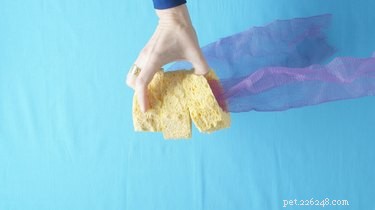 Create a Portable Dog Paw Washer: Quick & Easy DIY Guide