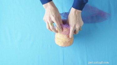 Create a Portable Dog Paw Washer: Quick & Easy DIY Guide