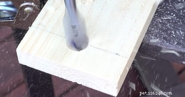 DIY Spinning Bottle Puzzle Feeder: Boost Your Dog’s Mind & Health