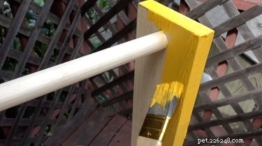 DIY Spinning Bottle Puzzle Feeder: Boost Your Dog’s Mind & Health