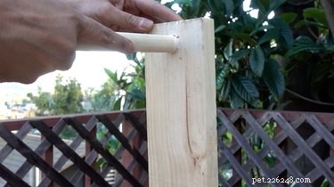 DIY Spinning Bottle Puzzle Feeder: Boost Your Dog’s Mind & Health