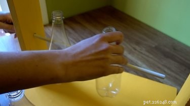 DIY Spinning Bottle Puzzle Feeder: Boost Your Dog’s Mind & Health