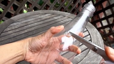 DIY Spinning Bottle Puzzle Feeder: Boost Your Dog’s Mind & Health