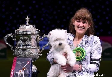 Enjoy the World’s Largest Dog Show—Free Online Viewing
