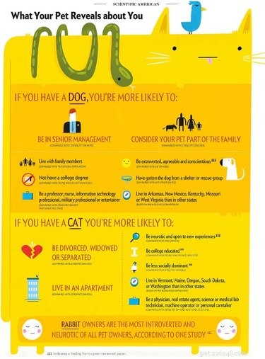 How Your Pet Choice Reveals Your Personality