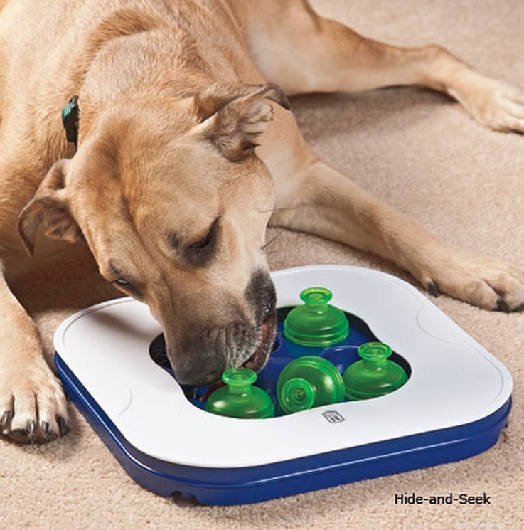 8 Must‑Have Toys to Keep Your Dog Engaged and Happy