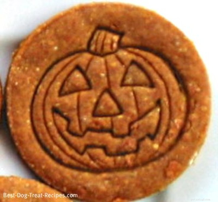 10 Dog-Friendly Halloween Treats You Can Make at Home