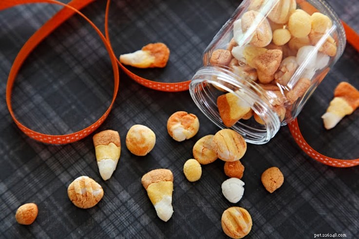 10 Dog-Friendly Halloween Treats You Can Make at Home