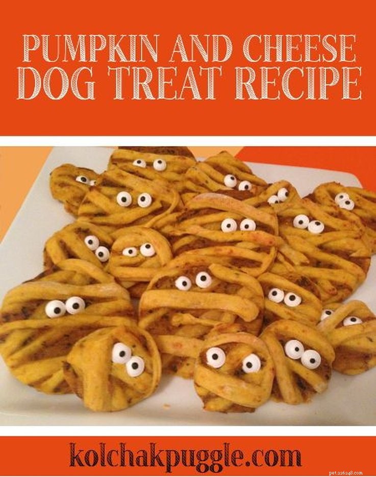 10 Dog-Friendly Halloween Treats You Can Make at Home