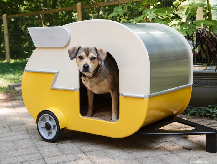 10 DIY Dog Houses: Plans & Ideas for Your Furry Family Member
