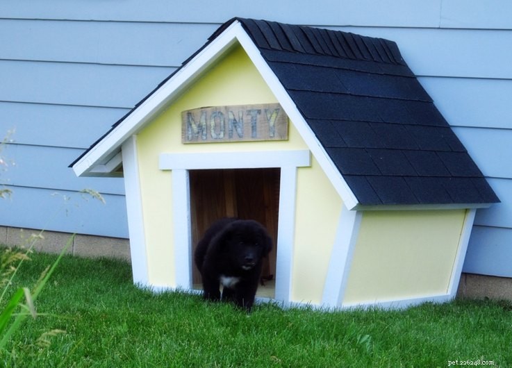 10 DIY Dog Houses: Plans & Ideas for Your Furry Family Member